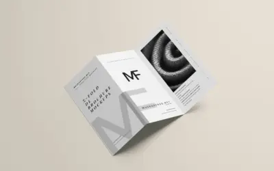 Professional DL Brochure Design Guide